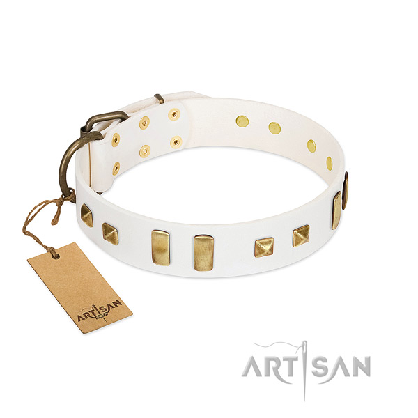 Designer White Leather Dog Collar Adorned with Plates and Square Studs