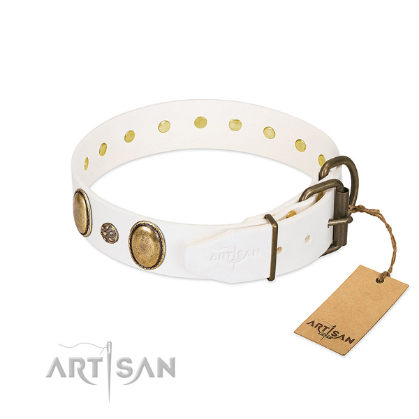 Daily walking Artisan leather dog collar