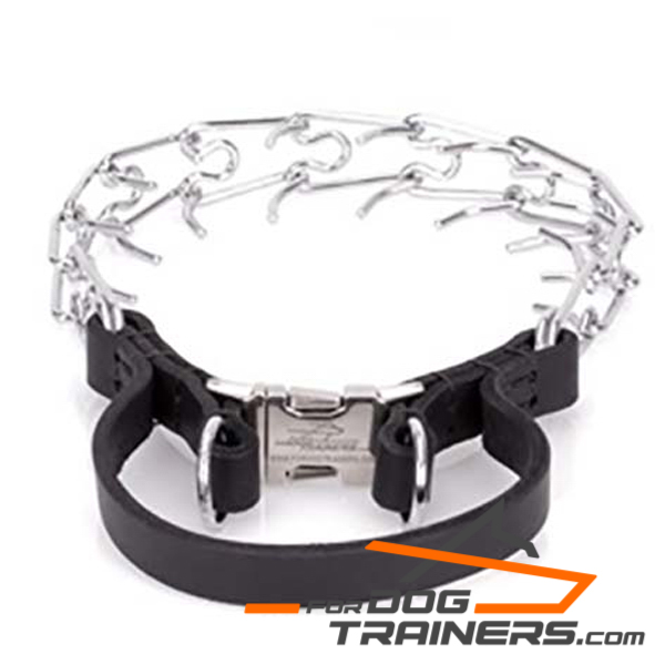 Chrome plated dog pinch collar new design