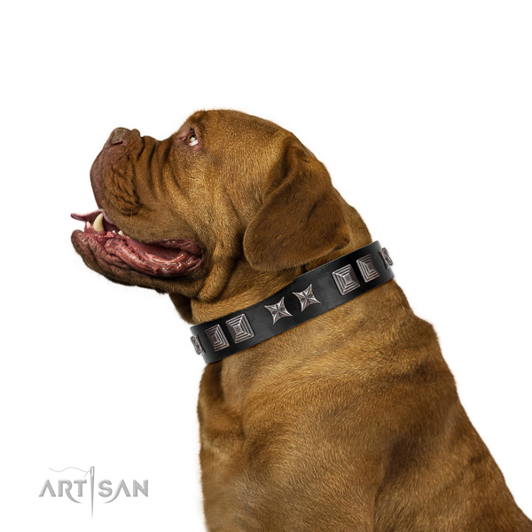 Extraordinary walking black leather Dogue de Bordeaux collar with cool decorations