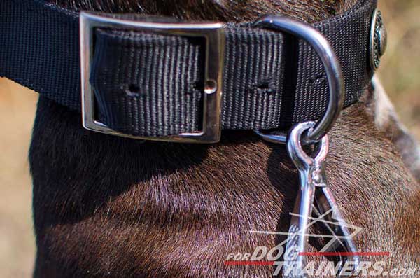 Extra Durable D-Ring on Nylon Pitbull Collar