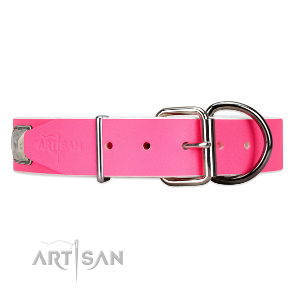 Studded leather dog collar with super reliable buckle