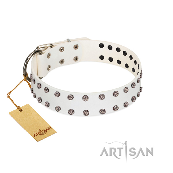 Fabulous FDT Artisan leather dog collar