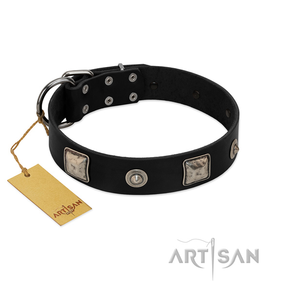 Fabulous FDT Artisan leather dog collar