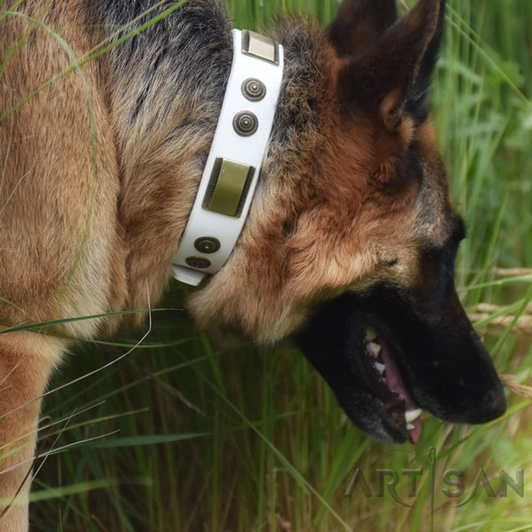 Leather German Shepherd Collar with Plates and Circles for Brynn