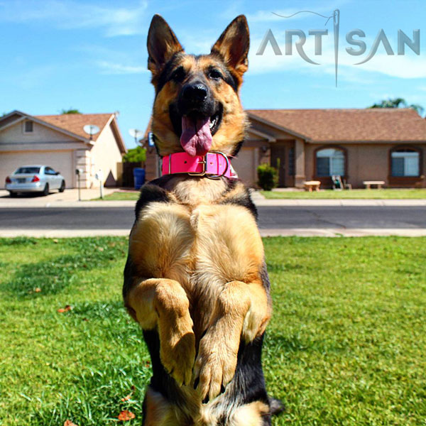 Stylish Dog Collar Adorned with Studs