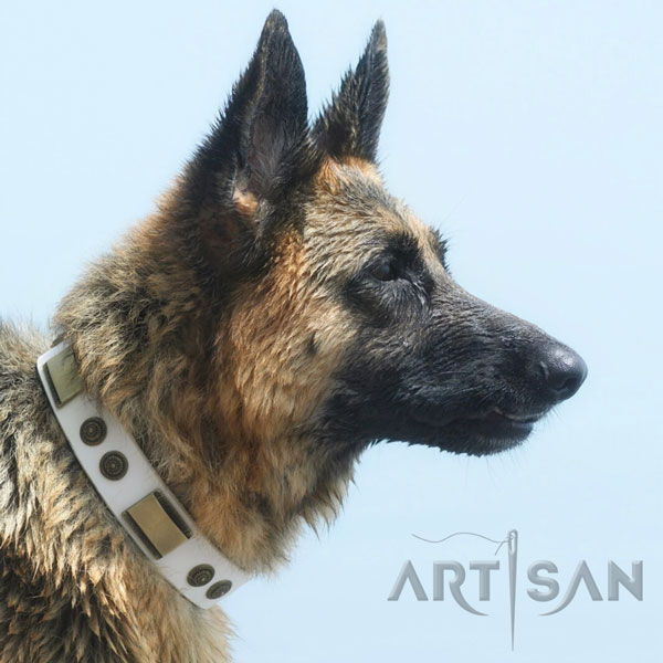 Fashionable Leather German Shepherd Collar Suits for Water Games