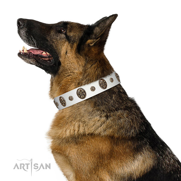 Premium quality German Shepherd Artisan leather collar for comfortable wear