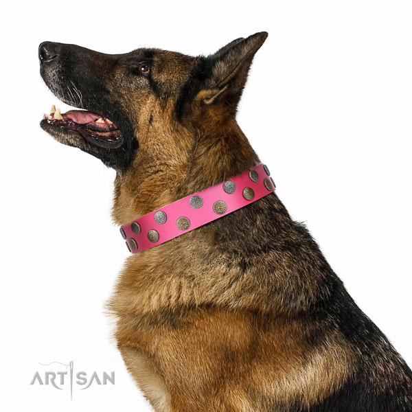 Decorated leather German Shepherd collar for comfortable walking