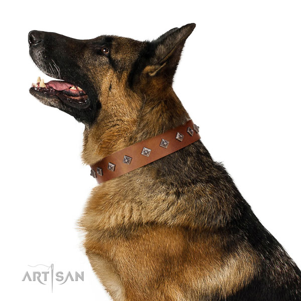 Top-notch quality leather German Shepherd collar for comfortable walks