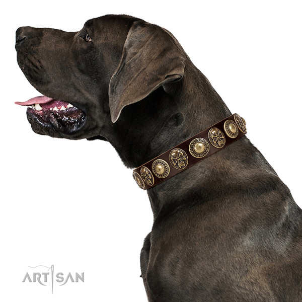 Non-toxic and safe leather Great Dane collar