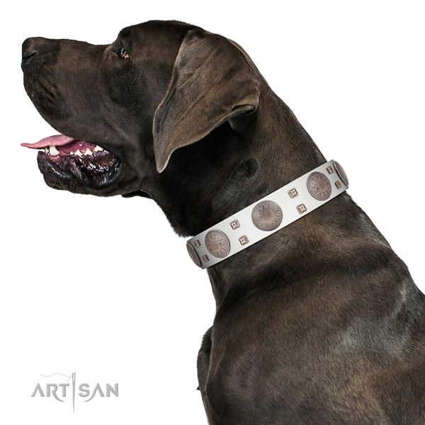 Walking top-notch quality walking leather Great Dane collar