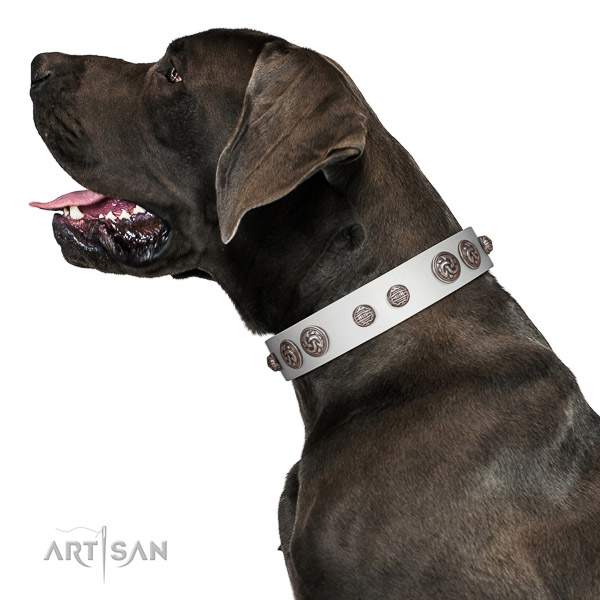 Walking top-notch quality walking leather Great Dane collar