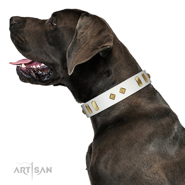 Handmade White Leather Great Dane Collar of Incredible Design