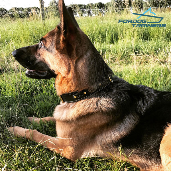 Braided Leather German Shepherd Collar