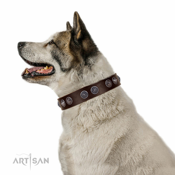 Incredible quality leather Akita Inu collar for better handling