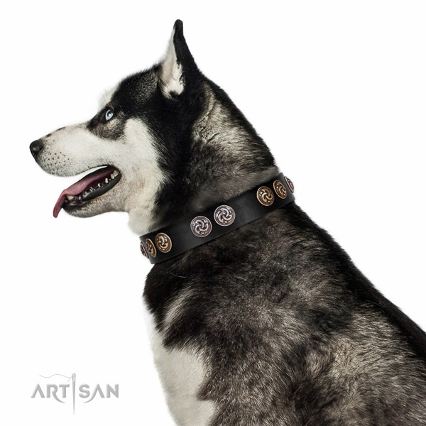 Walking top-notch quality walking leather Husky collar