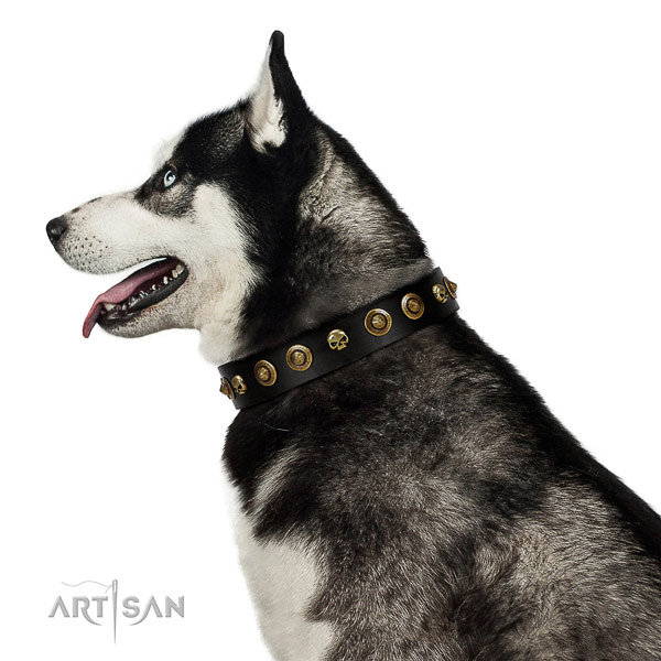 Premium quality Husky Artisan leather collar for comfortable wear