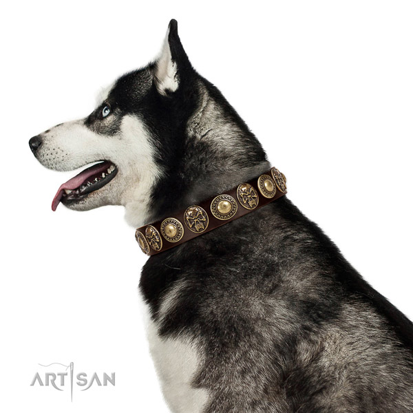 Comfortable leather Husky collar for daily use