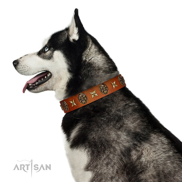 Wonderful Husky Artisan leather collar for better control