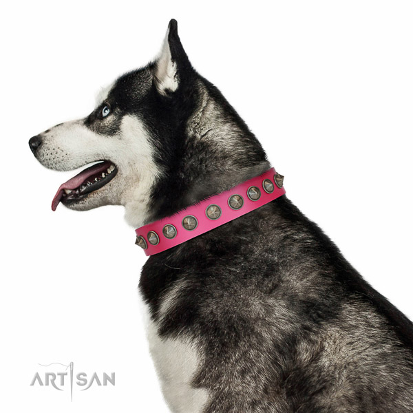 Artisan leather Husky collar for perfect control