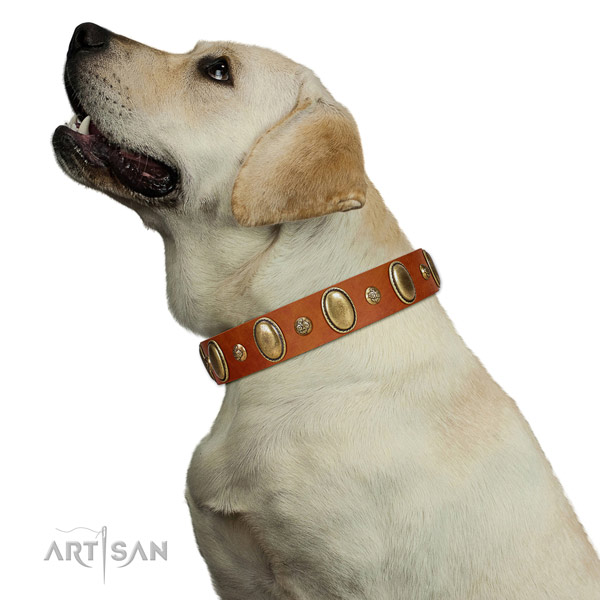 Premium quality Labrador Artisan leather collar for comfortable wear