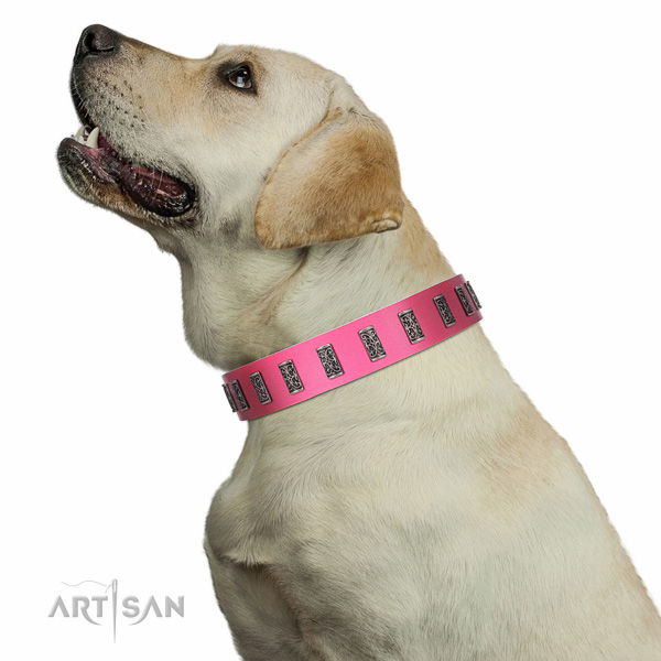 Extraordinary walking pink leather Labrador collar with chic decorations