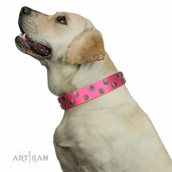 Artisan leather Labrador collar for perfect control