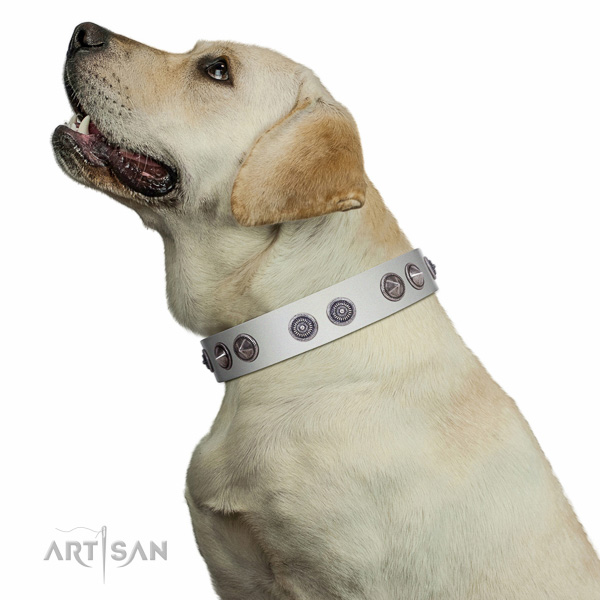 Handmade walking white leather Labrador collar with unique design