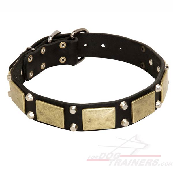 War Leather collar