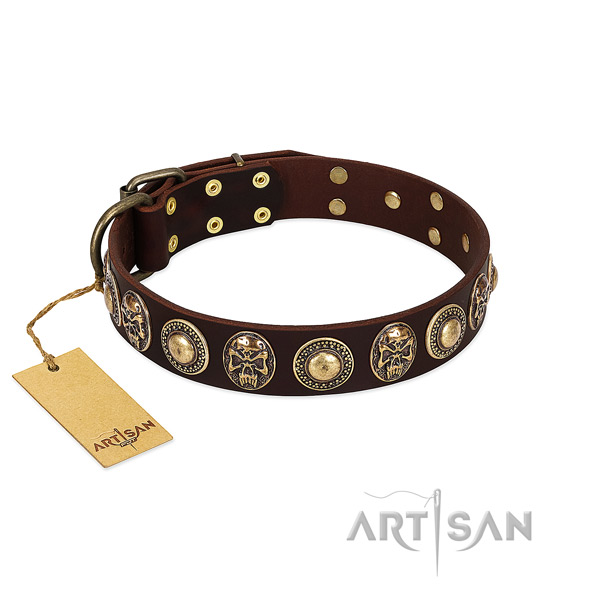 Trendy Dog Collar Adorned with Large Round Studs