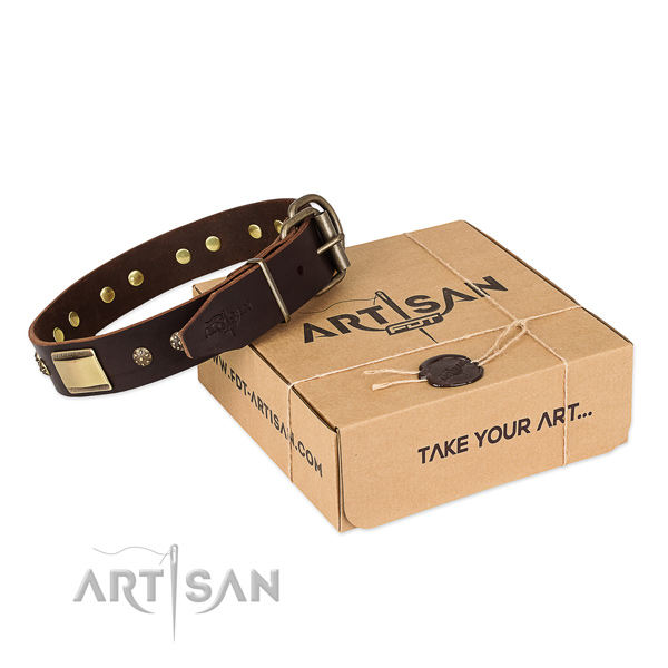 Best Quality Dog Collar