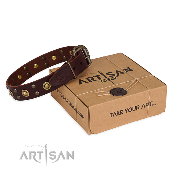 Brown leather dog collar for easy walking