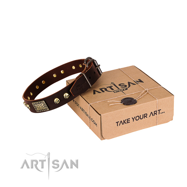 Stylish brown leather dog collar