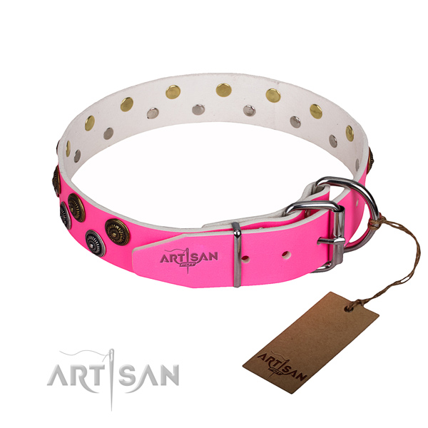 Reliable leather dog collar