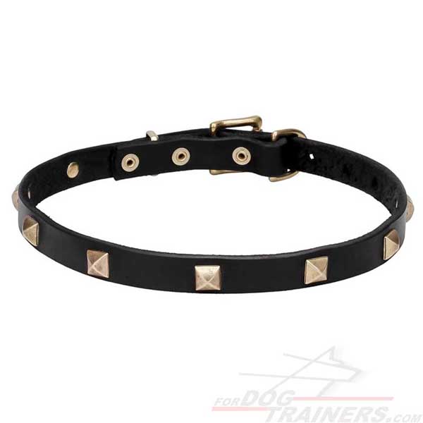 Leather collar with studs for your dog