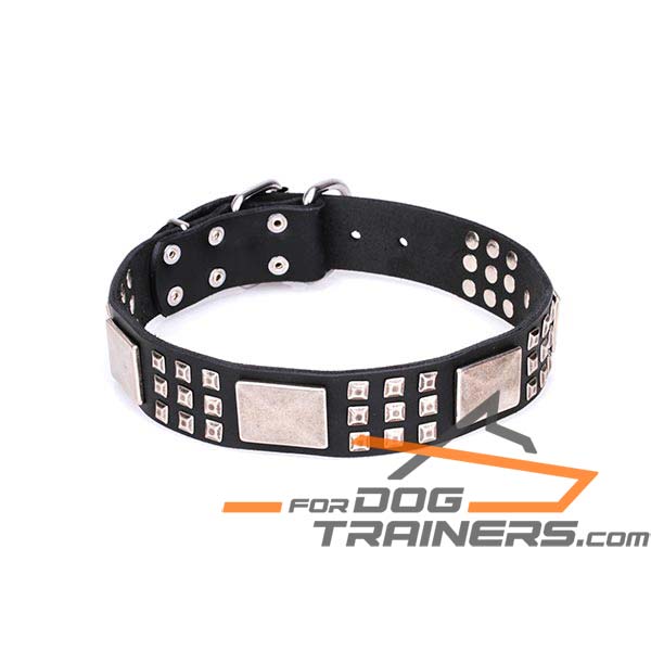 Adorned Leather Dog Collar