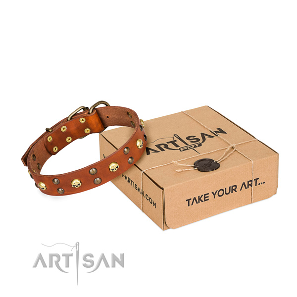 Elegant-looking tan leather dog collar