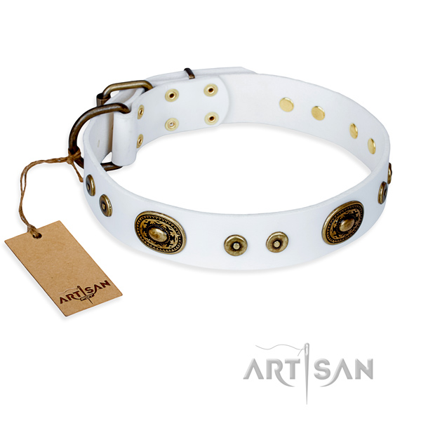 White leather dog collar with exciting adornments