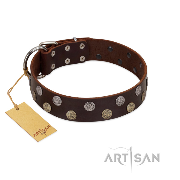 FDT Artisan brown leather dog collar for strong pullers