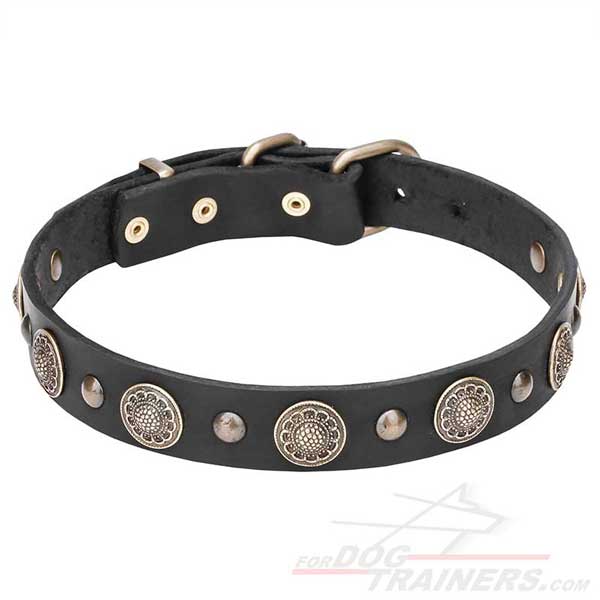 Rust-resistant hardware for leather dog collar