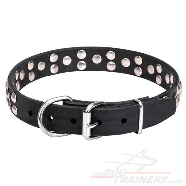 Rust resistant hardware for leather canine collar