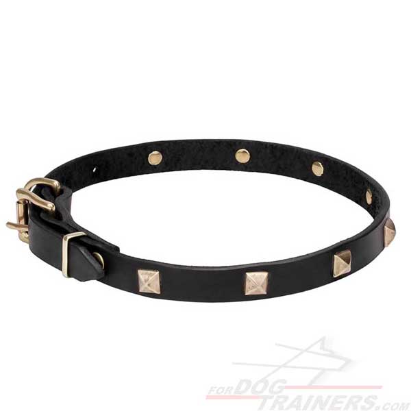 Rust-resistant fittings on leather dog collar