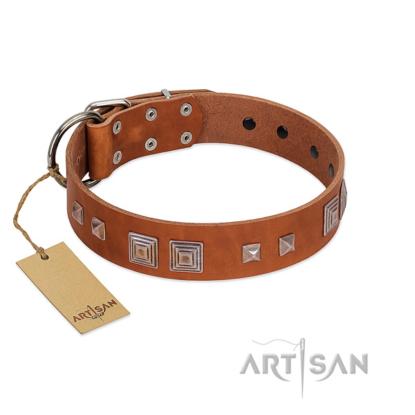 Stylish tan leather dog collar of strong materials