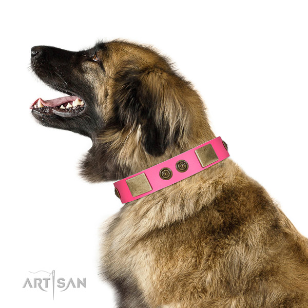 Unusual Design Pink Leather FDT Artisan Leonberger Collar