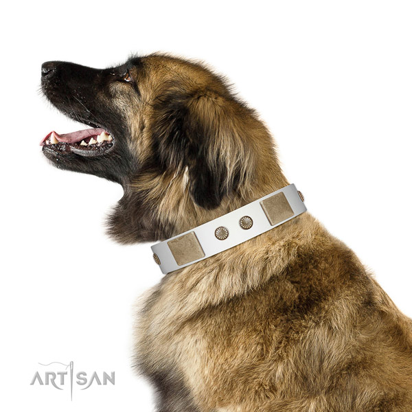 Adorned Full Grain Leather Leonberger Collar with Plates and Studs