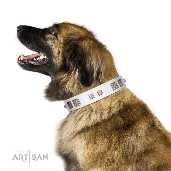 Extraordinary walking white leather Leonberger collar with chic decorations