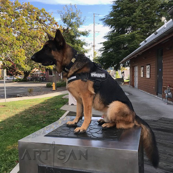 Decorative Leather German Shepherd Collar Handcrafted for Luke