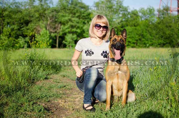 Stylish leather collar for Malinois walking