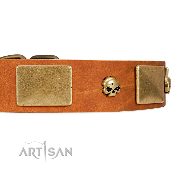 Premium Quality Leather Dog Collar with Handset Skulls and Massive Plates